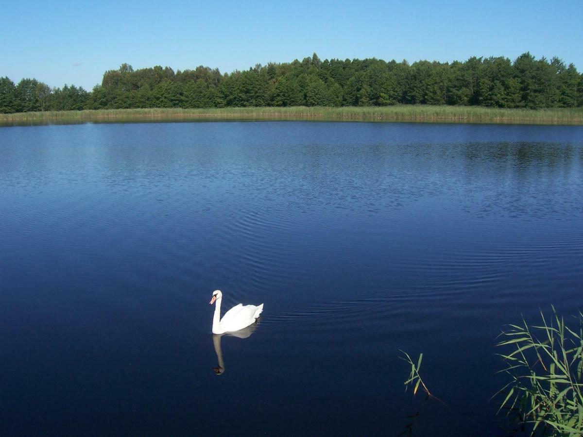 Domwigierski Pl -Jeziorki -Gr- Comfort-Ferienhaus-Polen - Wlasna Linia Brzegowa I Sauna Wysoki Most  ภายนอก รูปภาพ