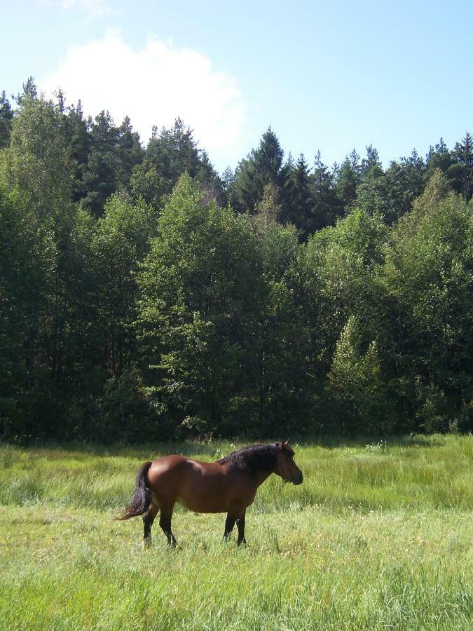 Domwigierski Pl -Jeziorki -Gr- Comfort-Ferienhaus-Polen - Wlasna Linia Brzegowa I Sauna Wysoki Most  ภายนอก รูปภาพ